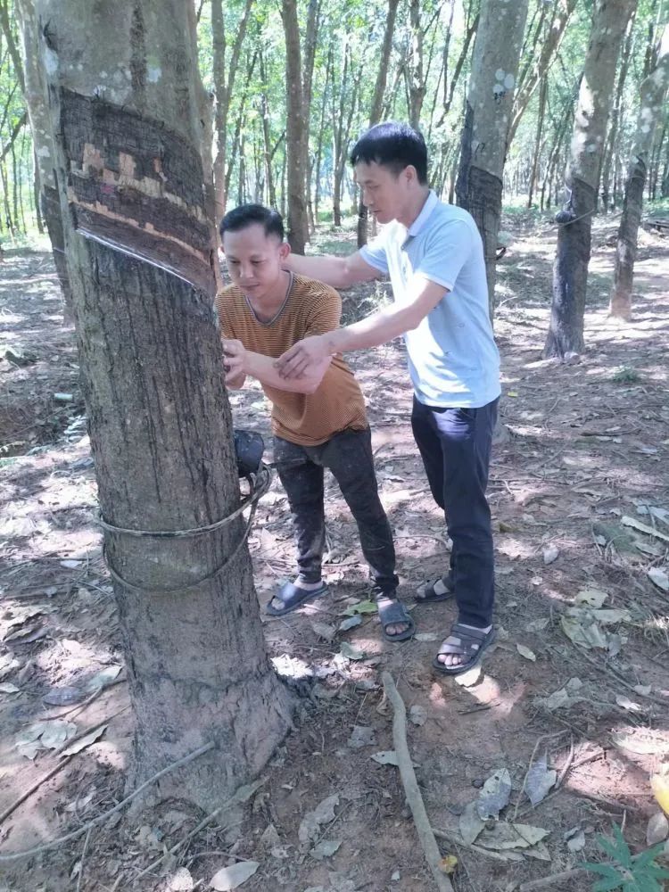 1701915364211043955.jpg 1701915364211043955.jpg