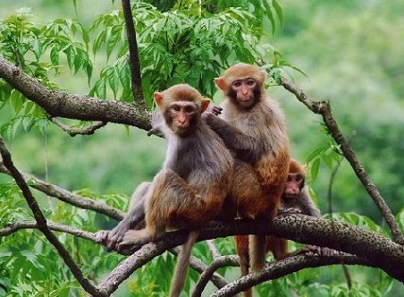 北京團(tuán)建活動(dòng)