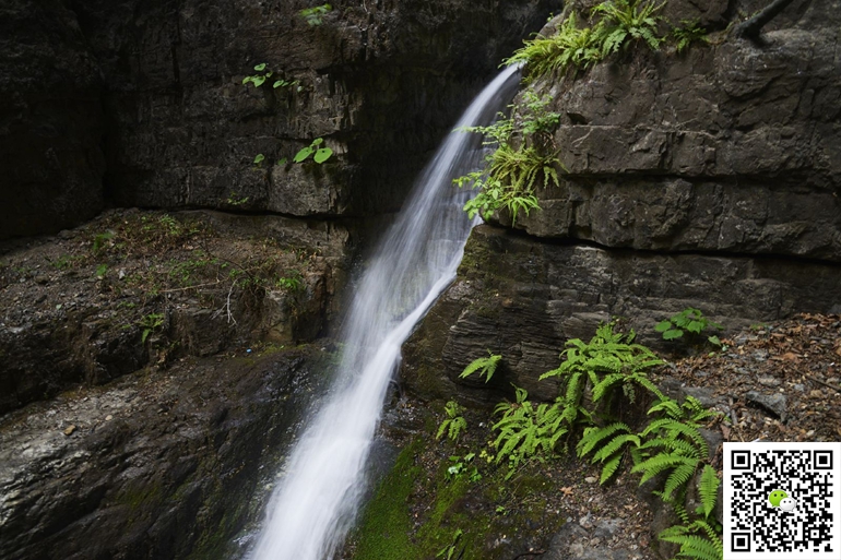 野三坡拓展訓(xùn)練